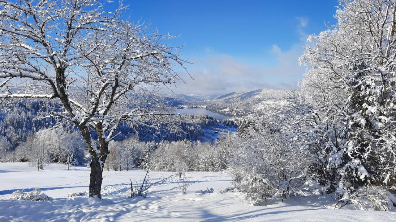 Les Dryades Gerardmer Ngoại thất bức ảnh
