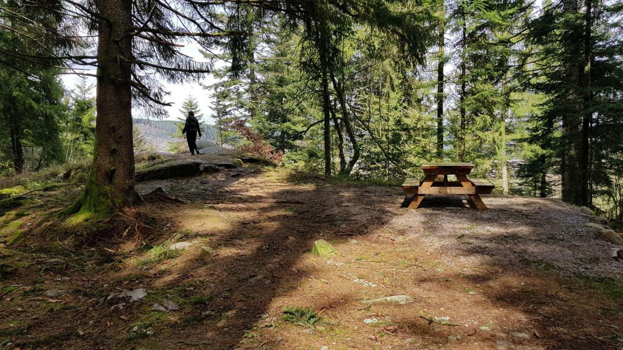 Les Dryades Gerardmer Ngoại thất bức ảnh