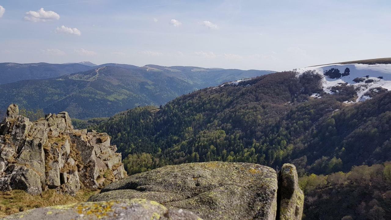 Les Dryades Gerardmer Ngoại thất bức ảnh
