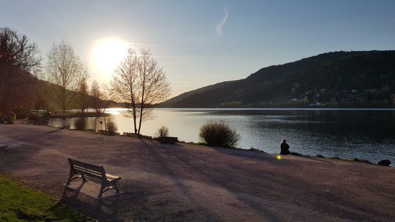 Les Dryades Gerardmer Ngoại thất bức ảnh
