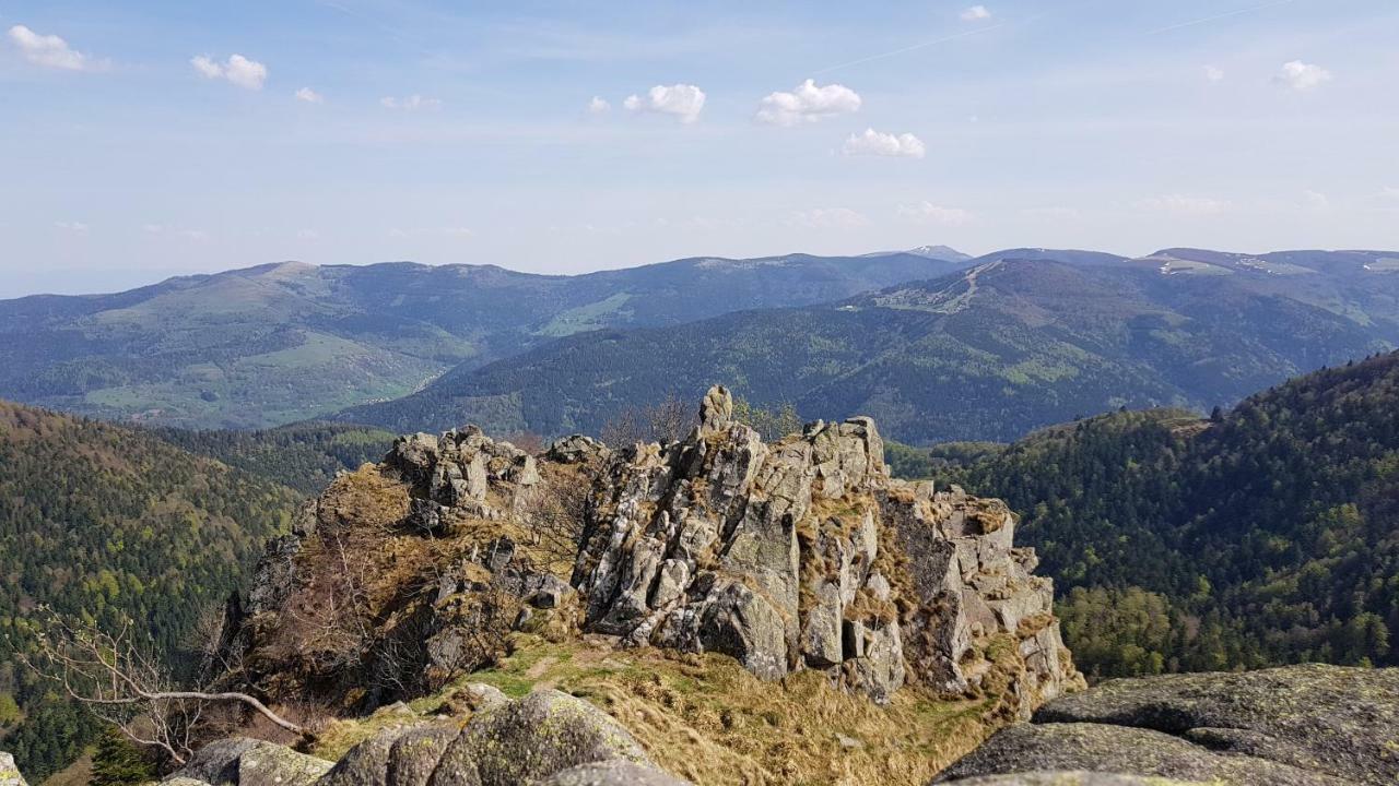Les Dryades Gerardmer Ngoại thất bức ảnh
